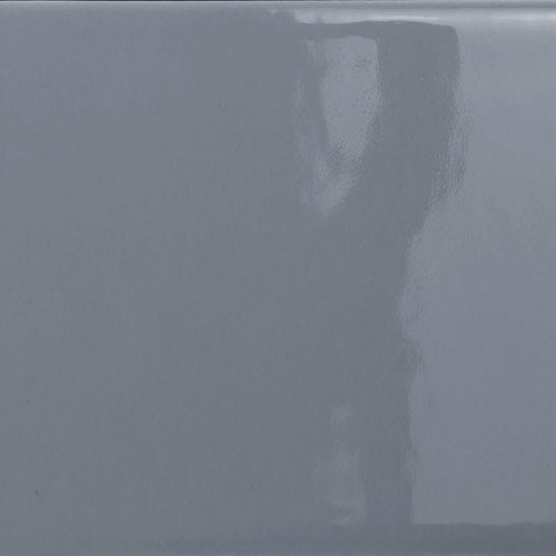 Catch In Silicon Glossy 3" X 6"