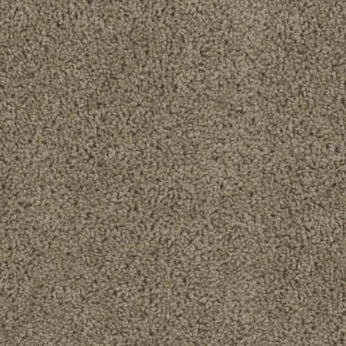 SP250 in Honesy Beige Carpet