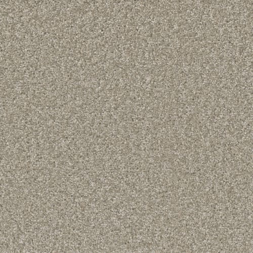 SP251