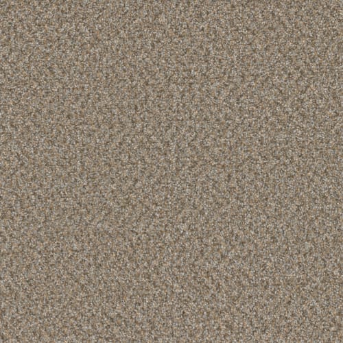 SP251