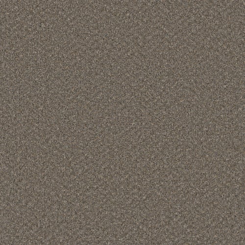 SP251