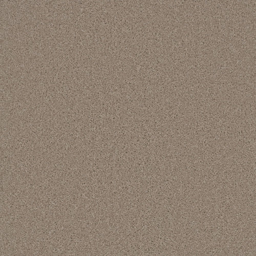 SP251