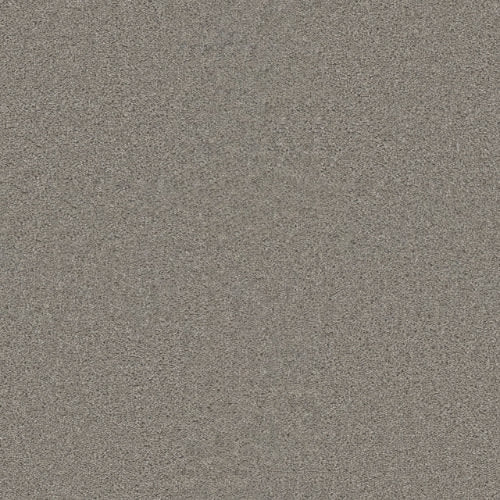 SP251