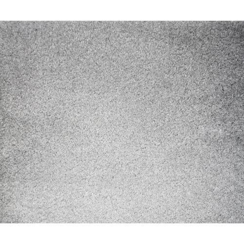 Starry Night in Dove Carpet