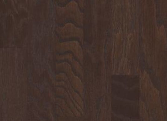 Albright Oak 3.25 In Chocolate | Shaw Industries