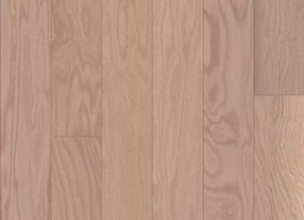 Albright Oak 5 In Biscuit Lg | Shaw Industries