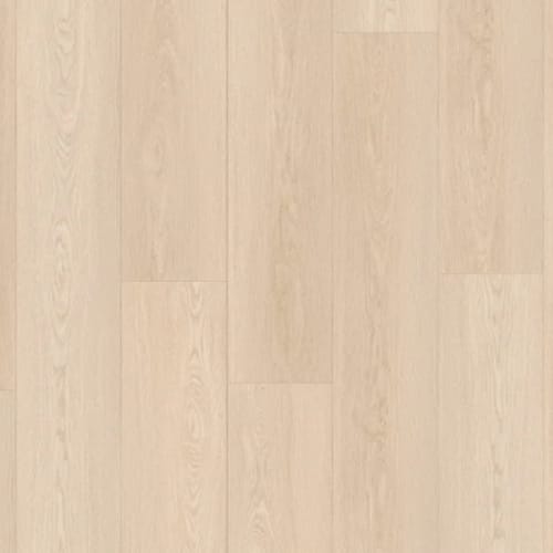 Natural Beauty Max 9 - Saybrook In Frosted Taupe