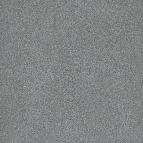 PALMETTO I