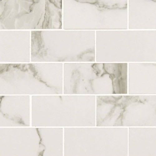 Pietra in Statuario - 2x4 Polished Tile