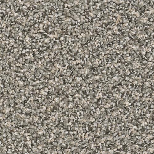 Arches in Delicate Arch Carpet