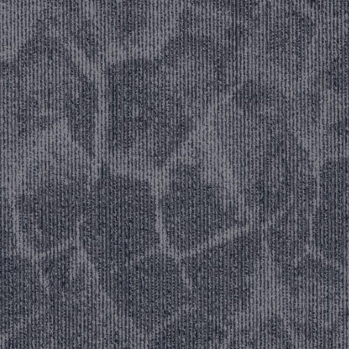 Fragments