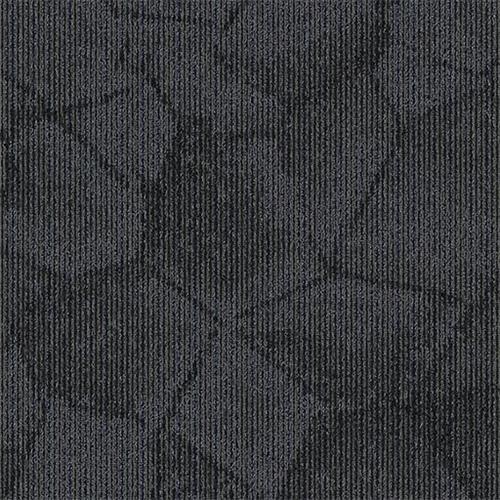 Fragments