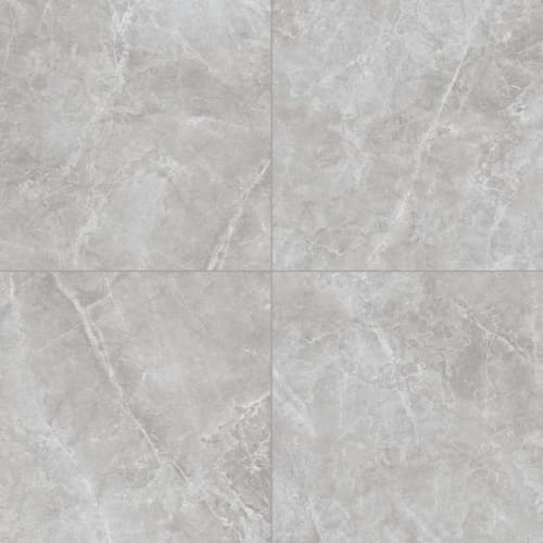 Themar In Grigio Savoia 24X24