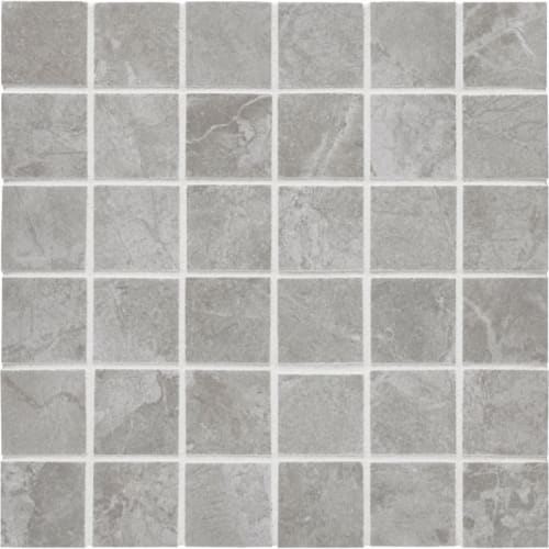 Themar In Grigio Savoia Mosaic