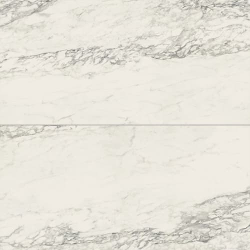 Tru Marmi in Arabescato 24x48 Tile