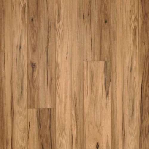 7 Series - Timber Land In Gunstock