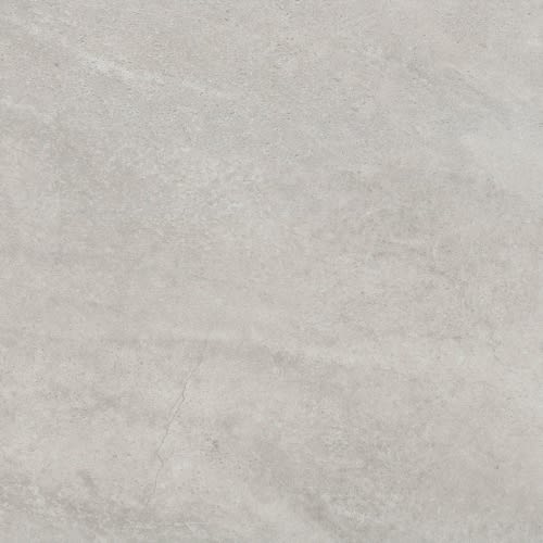 Trovata Ii In Album Matte 12" X 24"