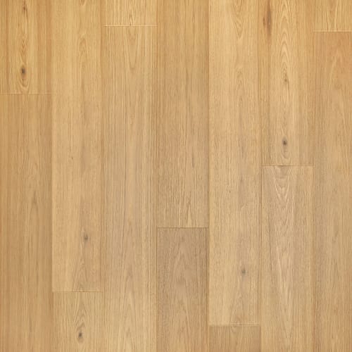 Witlock In Tundra Hickory