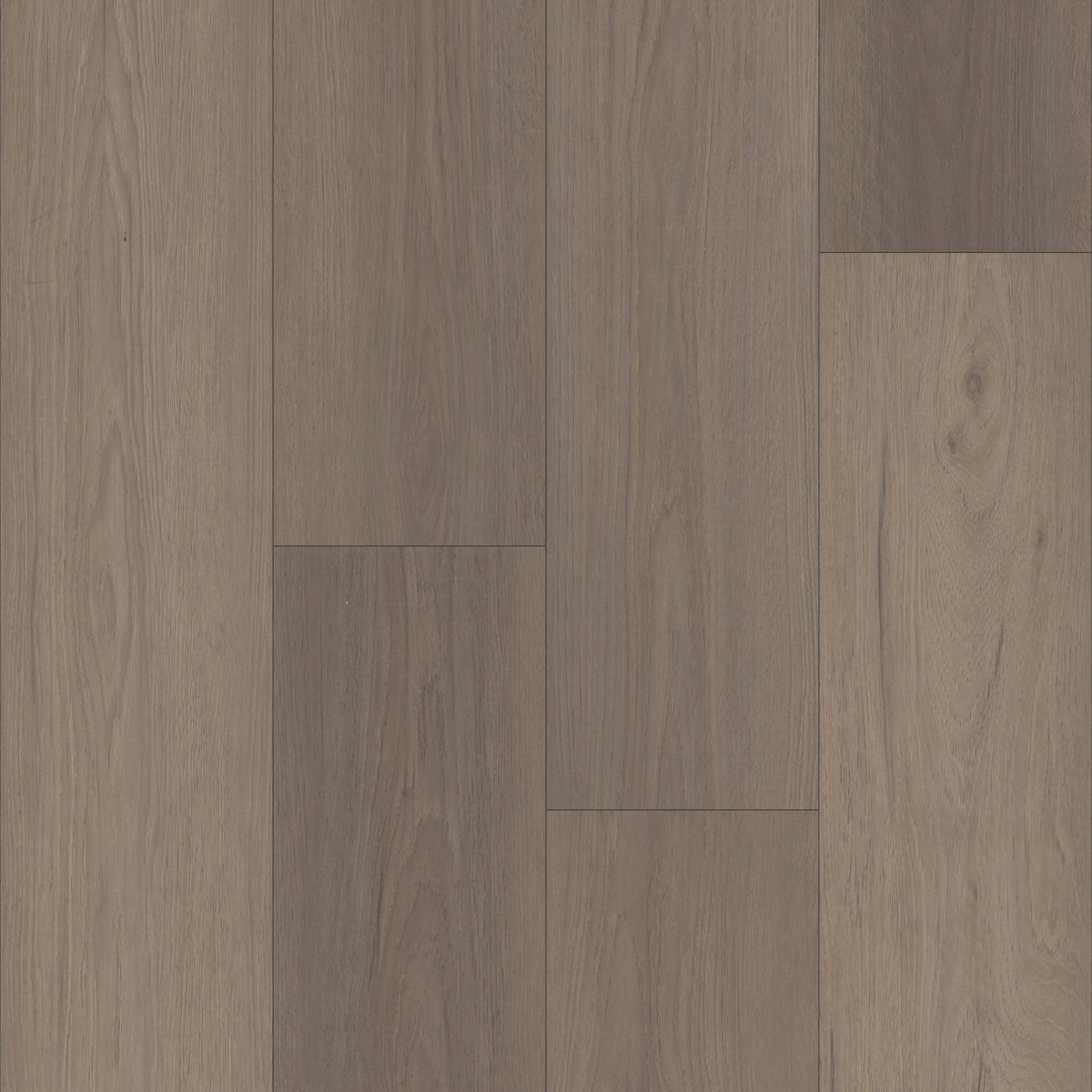 Bardstown in Hilgard Oak Laminate