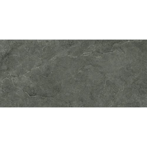 Unica in Carbon 24x48 Tile