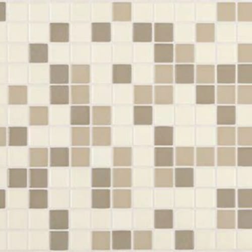 Unglazed Mosaics In Totally Neutral