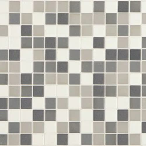 Unglazed Mosaics In Snow Leopard
