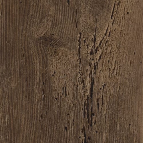 Ashton in Gunnison Oak