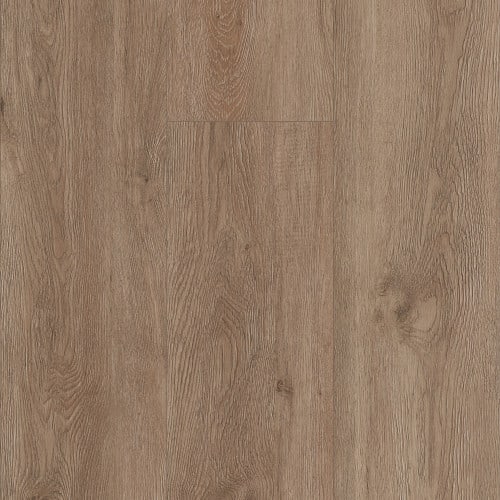 Distinction in Malbork Oak