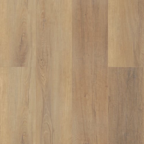 Coretec Pro Plus Enhanced Hd 9" Vv488 In Canterbury Elm
