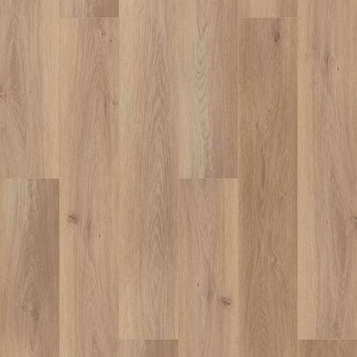 Coretec Pro Plus Enhanced Hd 9" Vv488 In Wiltshire Oak
