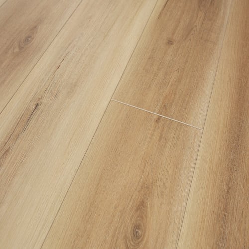 Burlington In Saffron Pecan