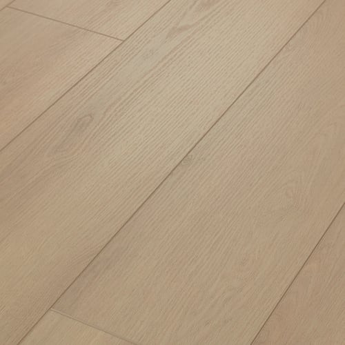 Discovery Bay In Cozy Taupe