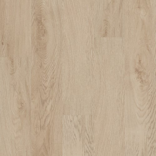 Classical Rendition 12 In Sand Dune