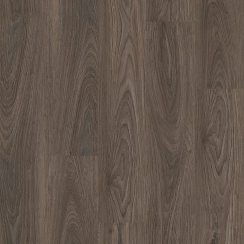 Binder Court In Dark Elm