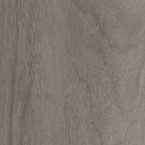 Classical Revival In Calm Grey