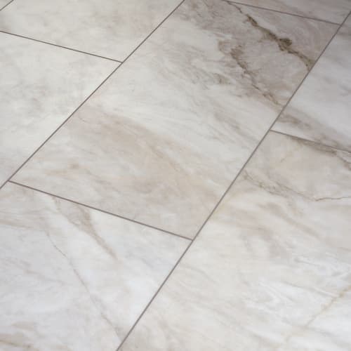 Paragon Tile Plus In Catalina