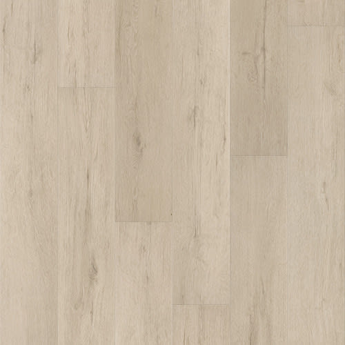 Spencer Lane In Fresco Cream