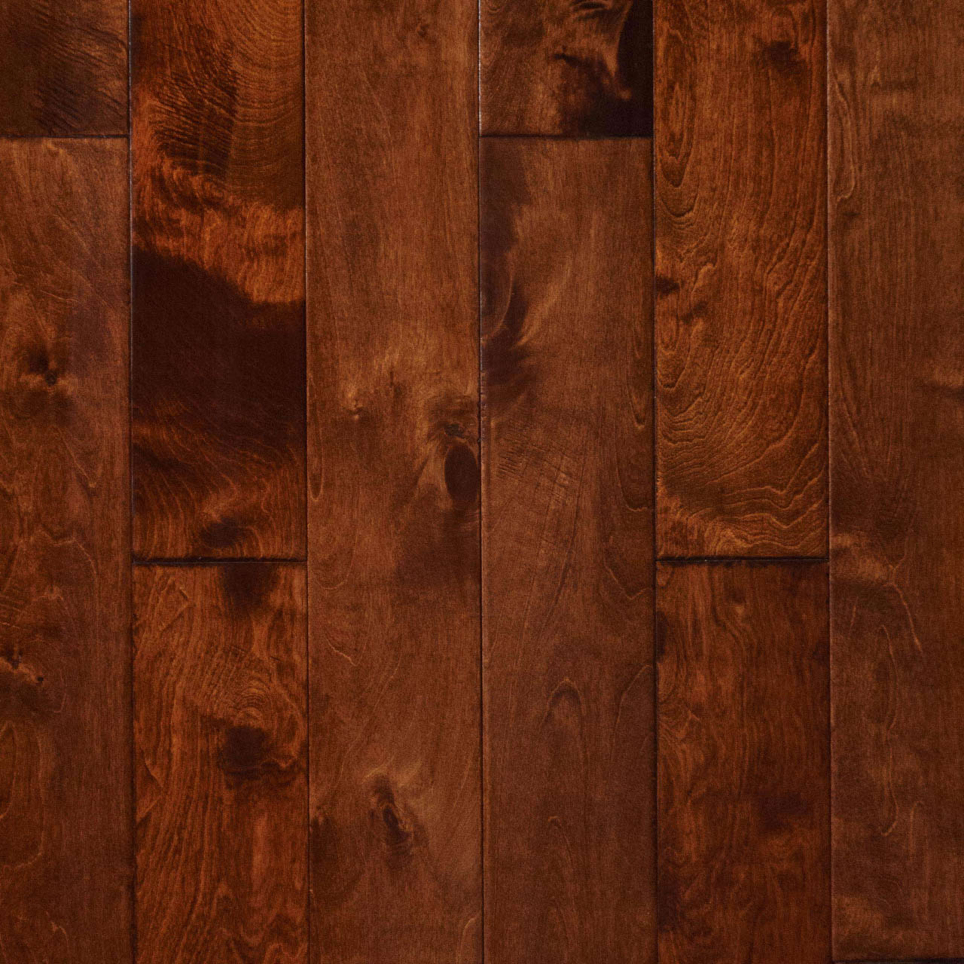 Bailey in Santa Monica Hardwood