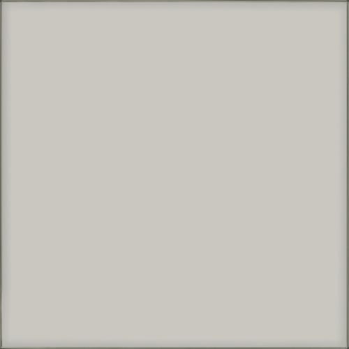 Vetri In Fume 24X24