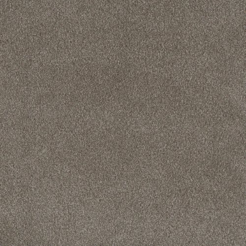 PALMETTO I