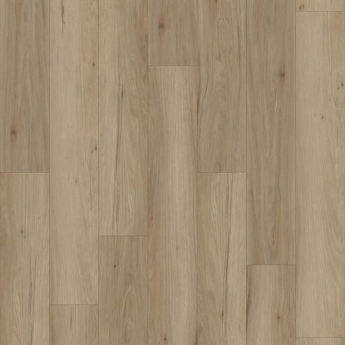 Acclaim In Tanunda Hickory