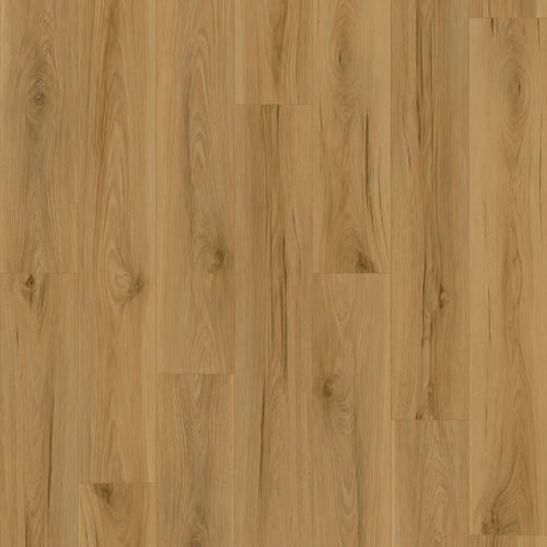 Acclaim In Lager Hickory