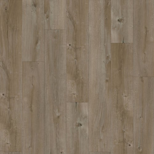 Ambiance in Spectrum Luxury Vinyl