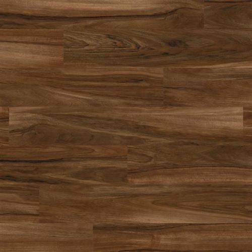 Opus in Arrado