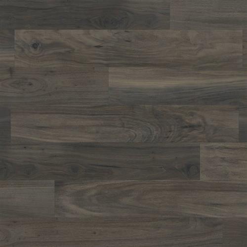 Opus In Tenebra Walnut