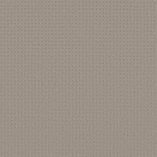 TOWN SQUARE in Ash Mist Carpet