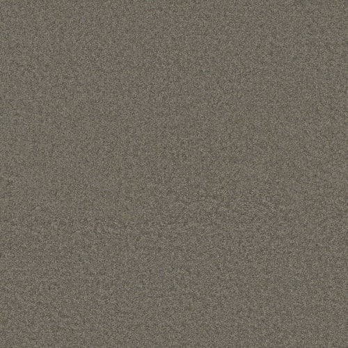 Gobi - Storm