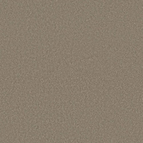 Gobi - Storm