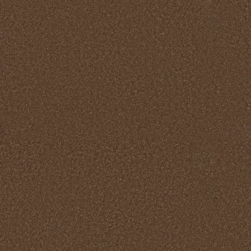 Gobi - Oatmeal