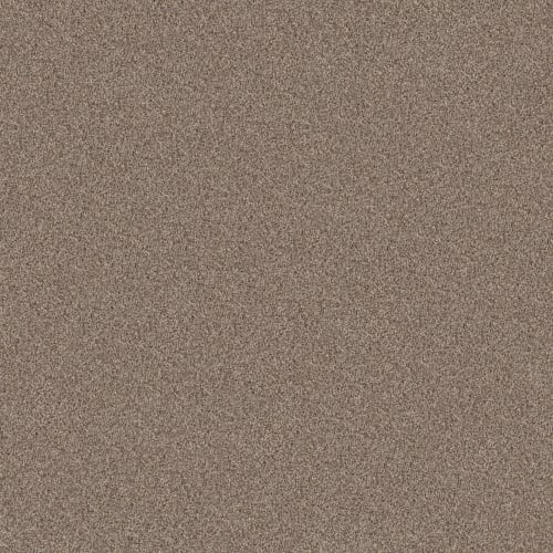 BOSSA NOVA in Roasted Carpet